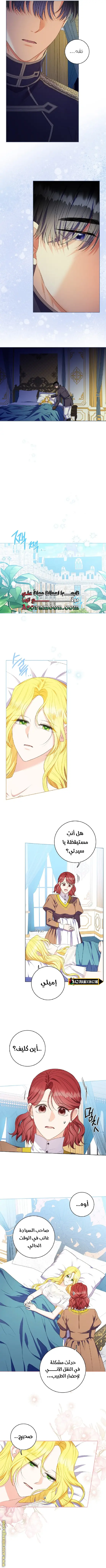 الصفحة 7