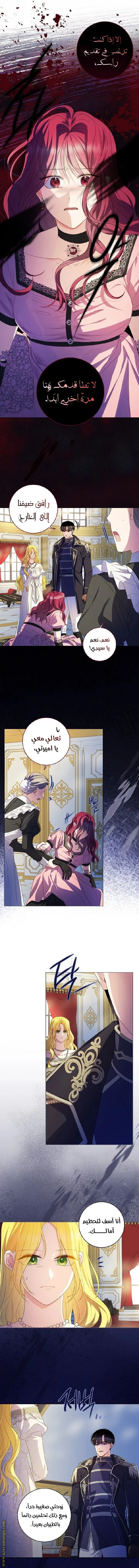 الصفحة 8