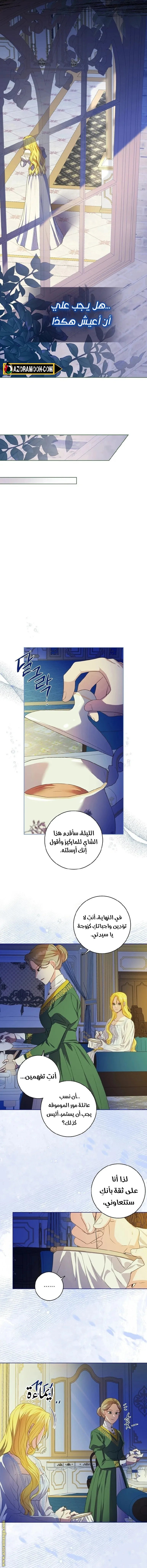الصفحة 12