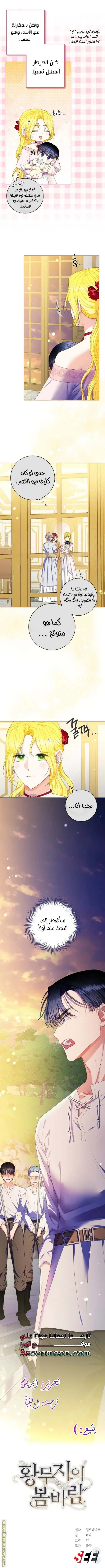 الصفحة 16