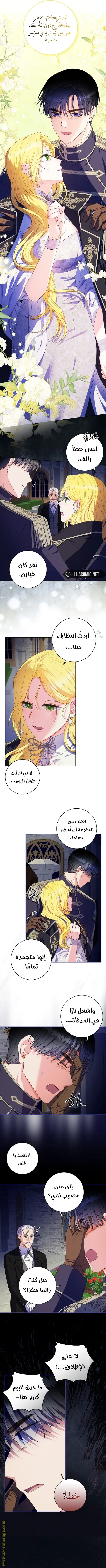 الصفحة 4