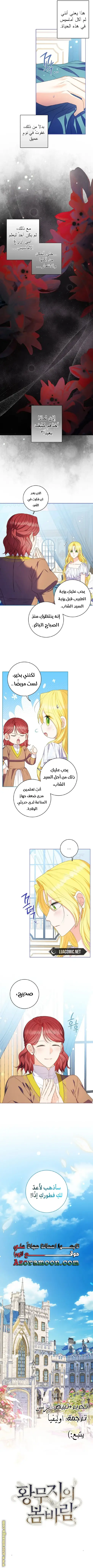 الصفحة 8