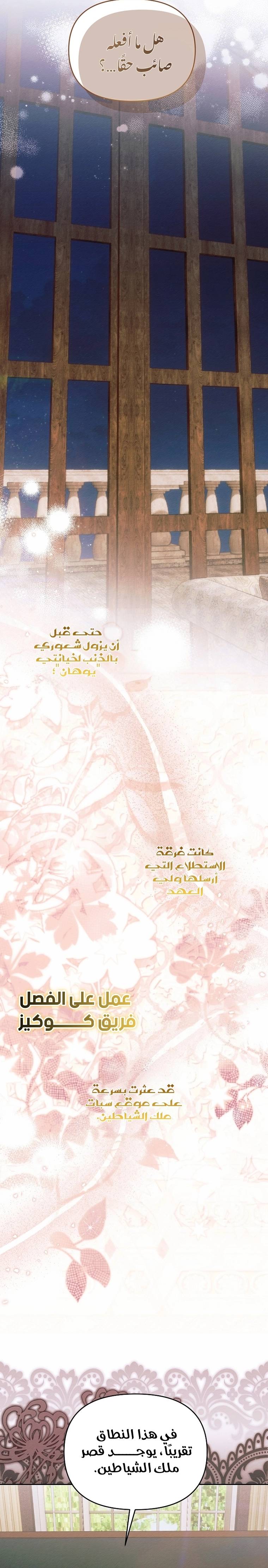 الصفحة 17