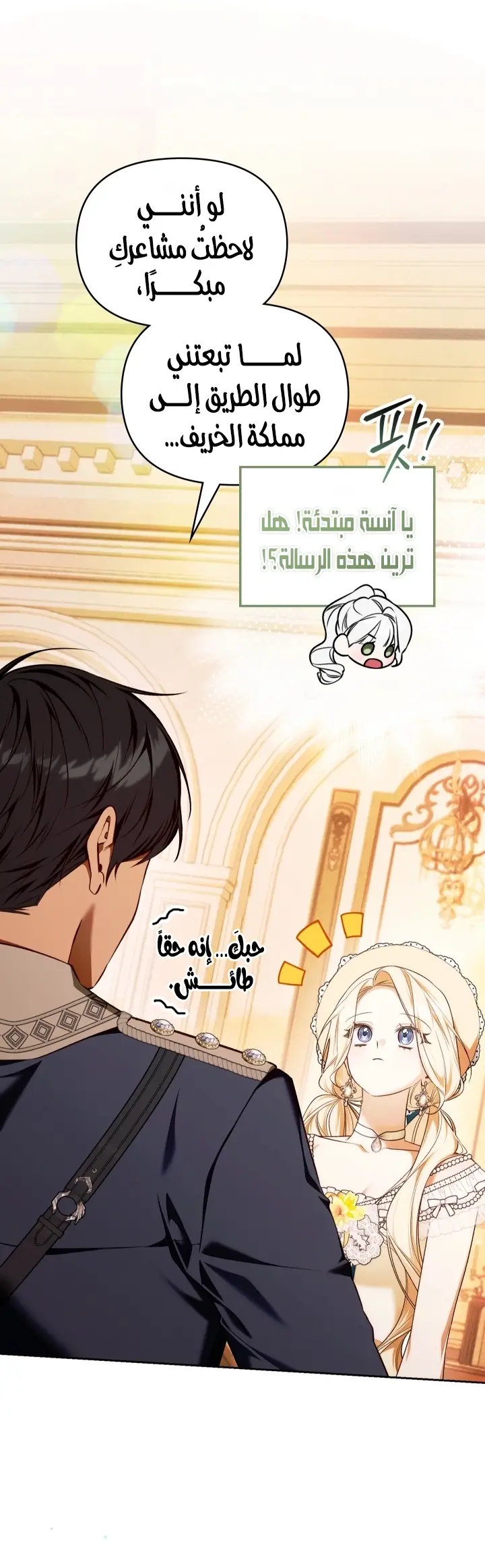 الصفحة 13