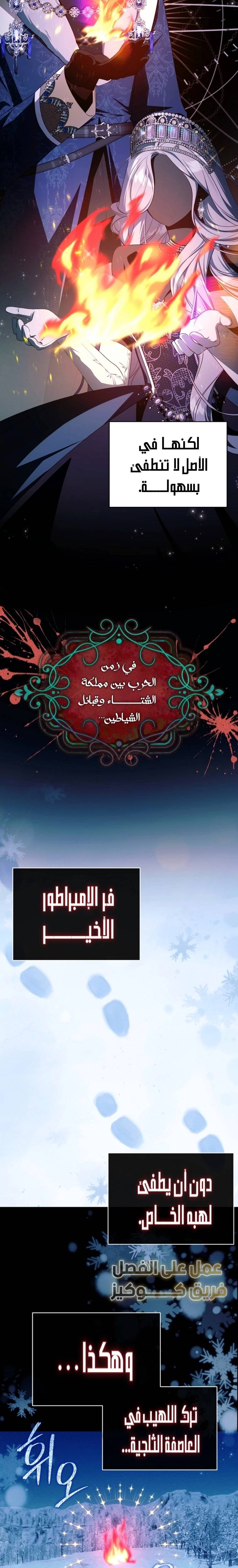 الصفحة 13