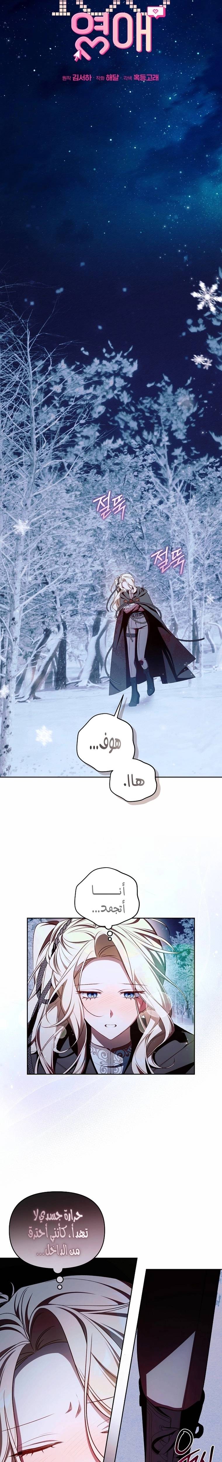 الصفحة 13