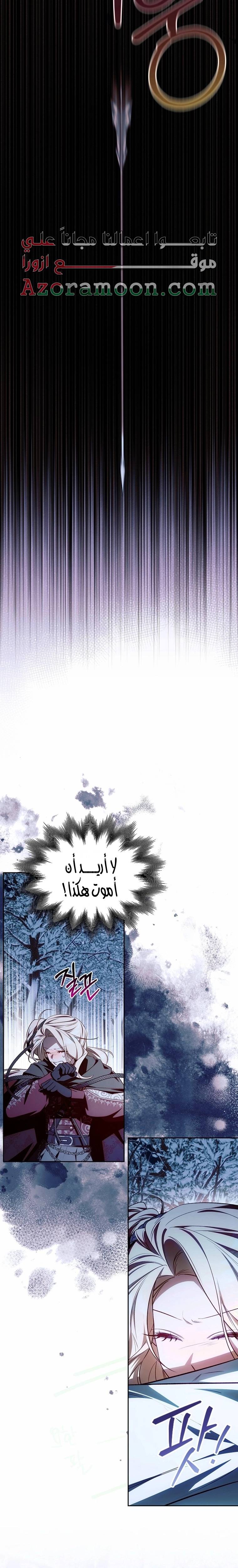 الصفحة 20