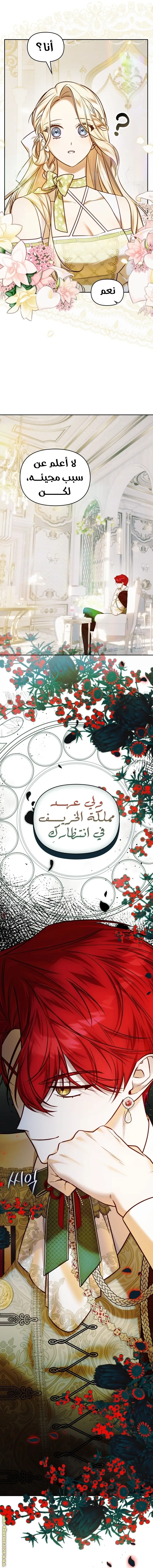 الصفحة 24
