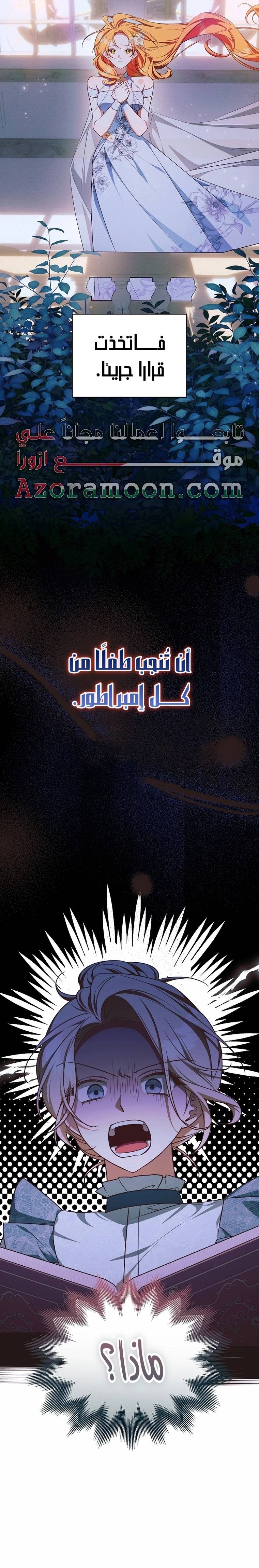 الصفحة 19