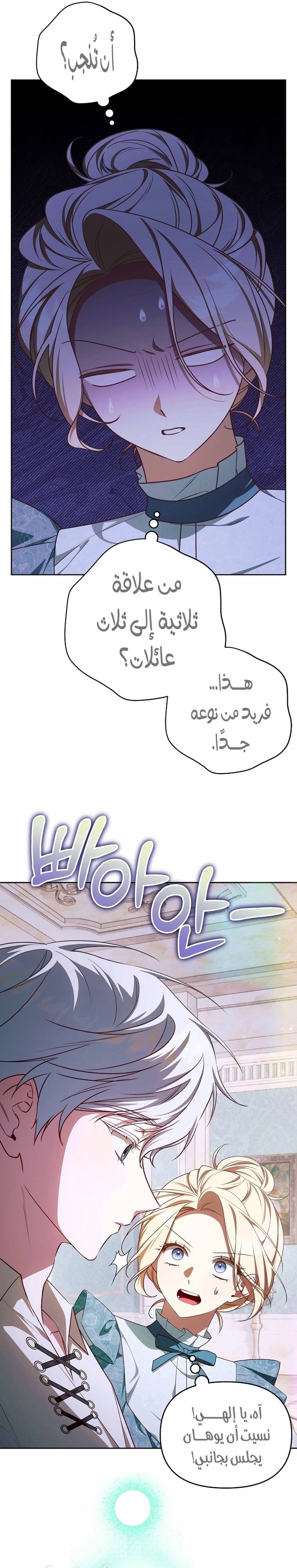 الصفحة 20