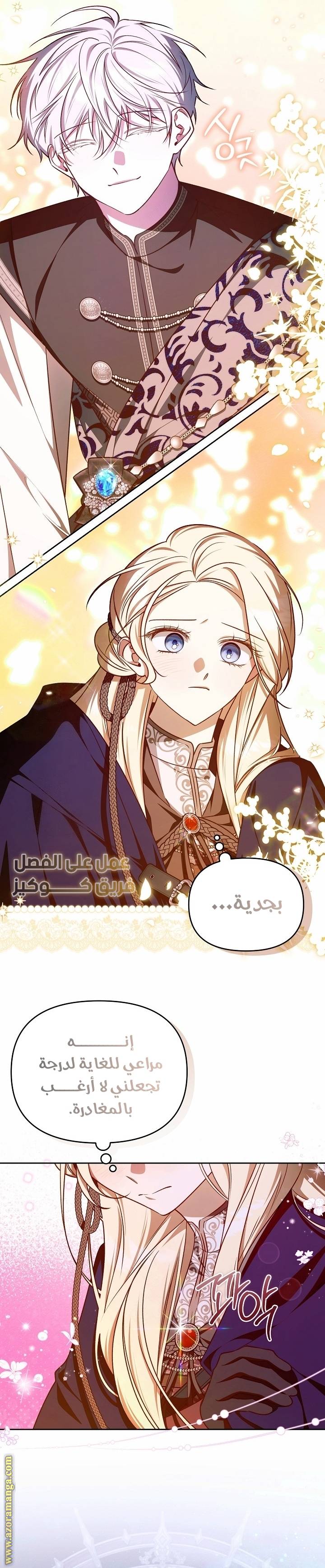 الصفحة 17