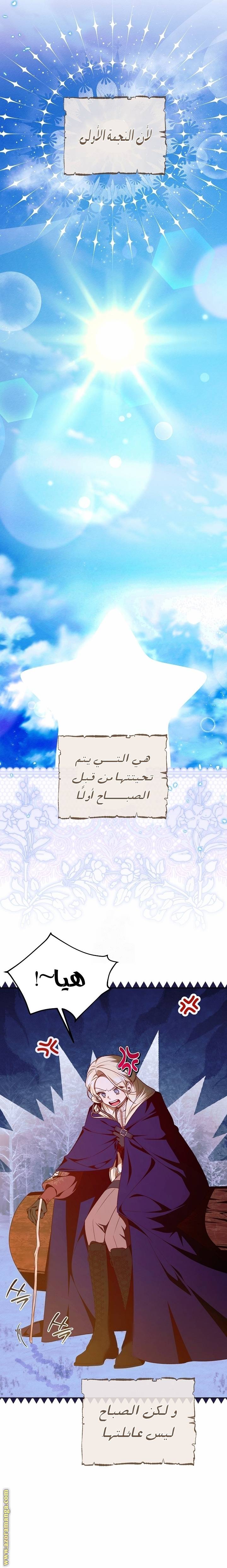الصفحة 22