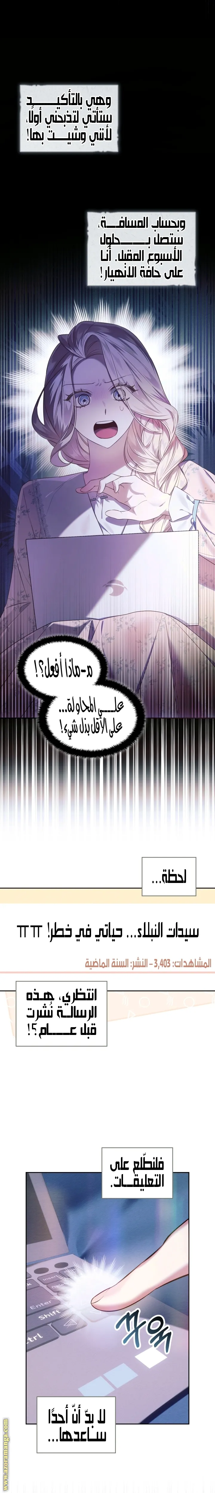 الصفحة 3