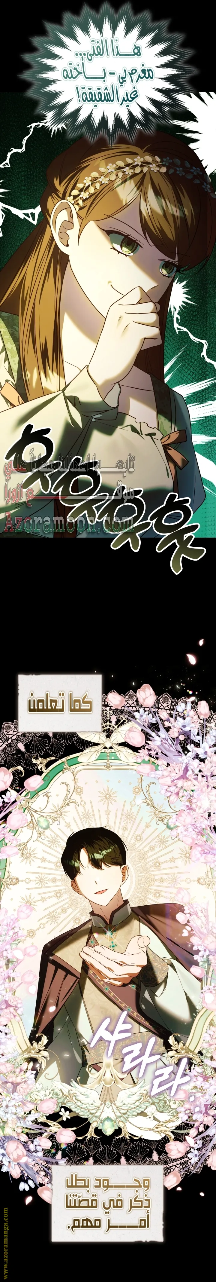 الصفحة 17