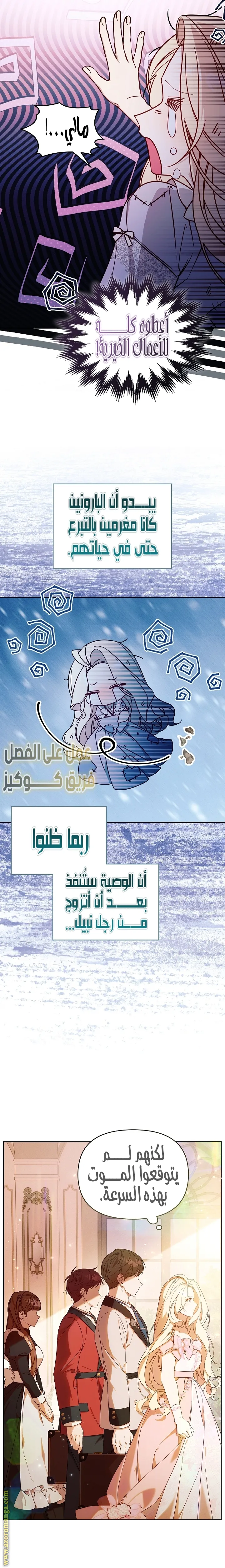 الصفحة 17