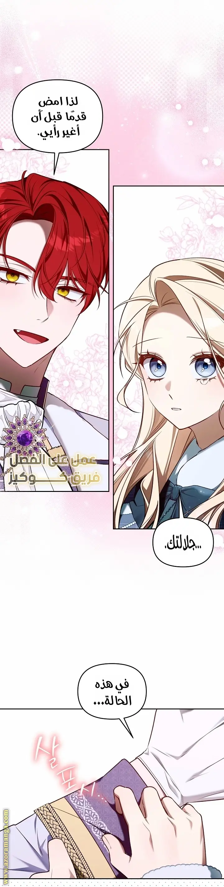 الصفحة 17