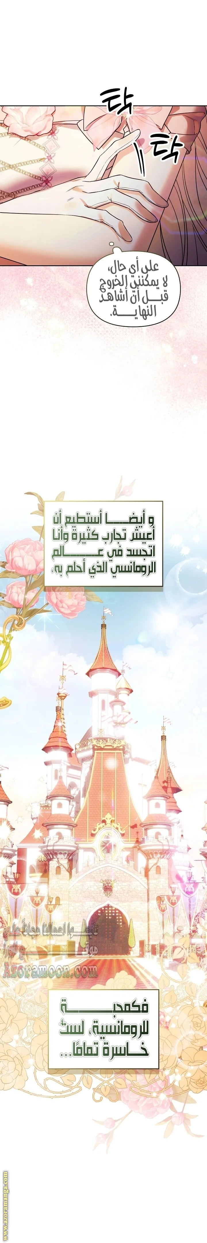 الصفحة 17