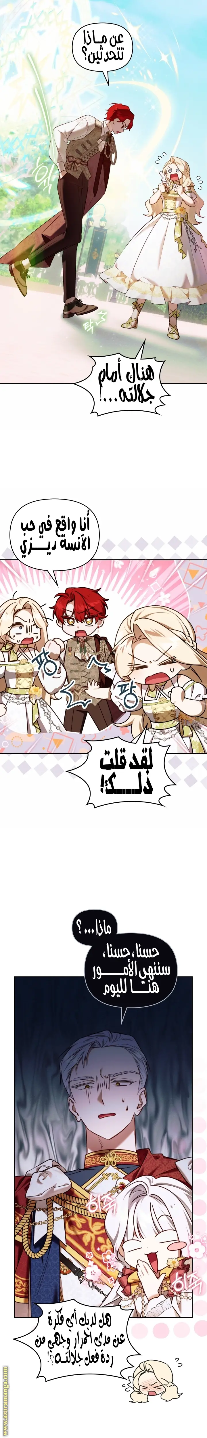 الصفحة 17