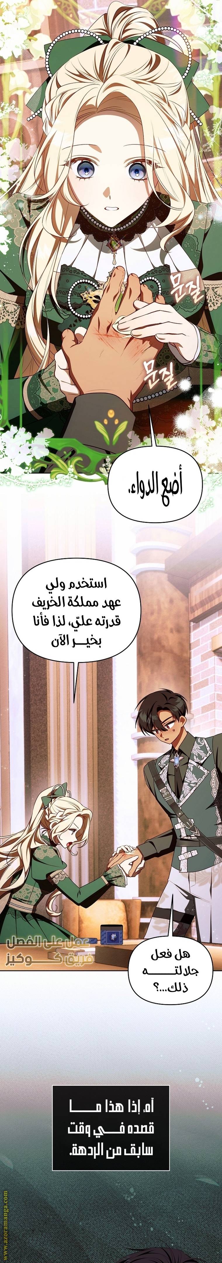 الصفحة 13