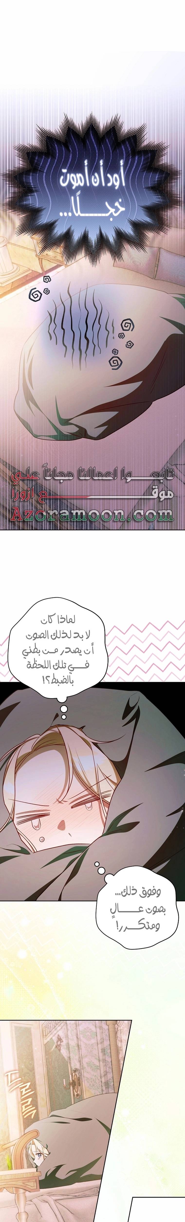 الصفحة 11