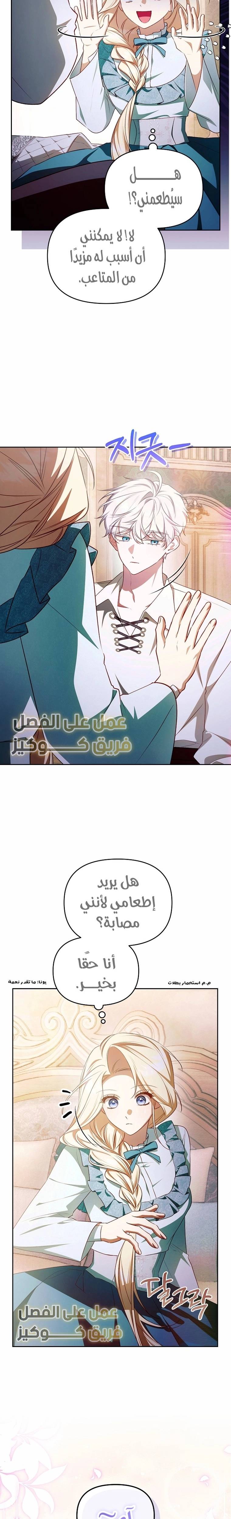 الصفحة 17