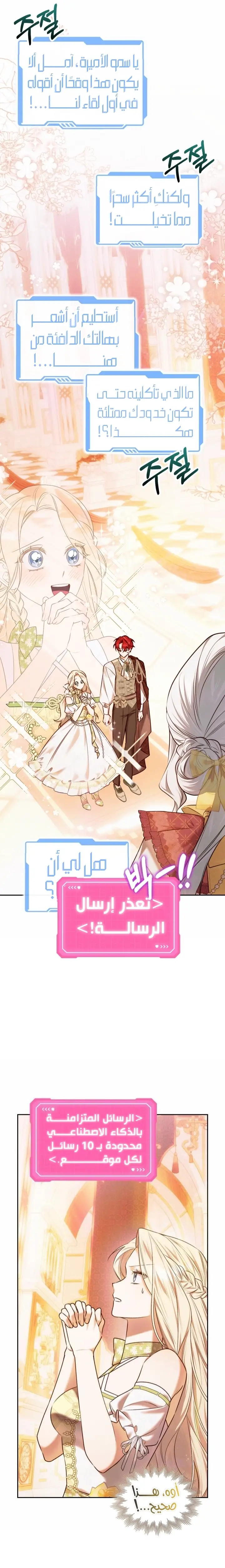 الصفحة 17