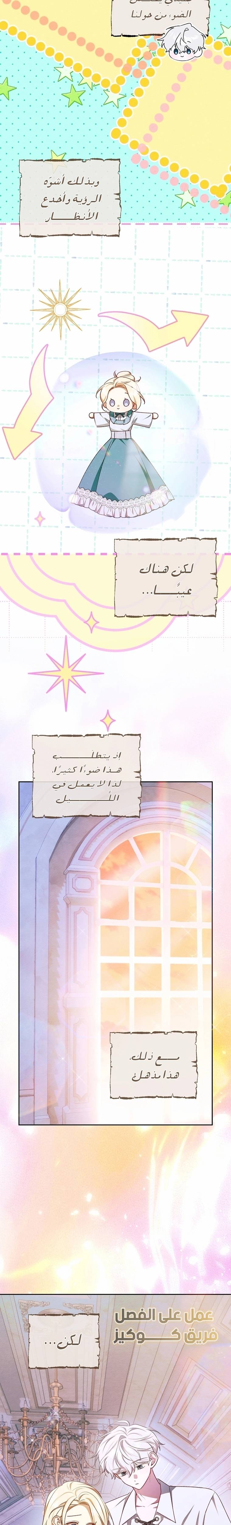 الصفحة 12