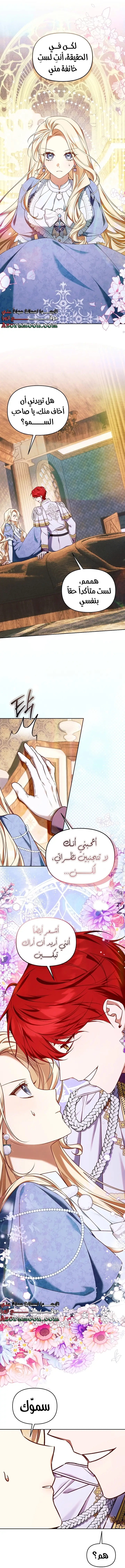 الصفحة 17