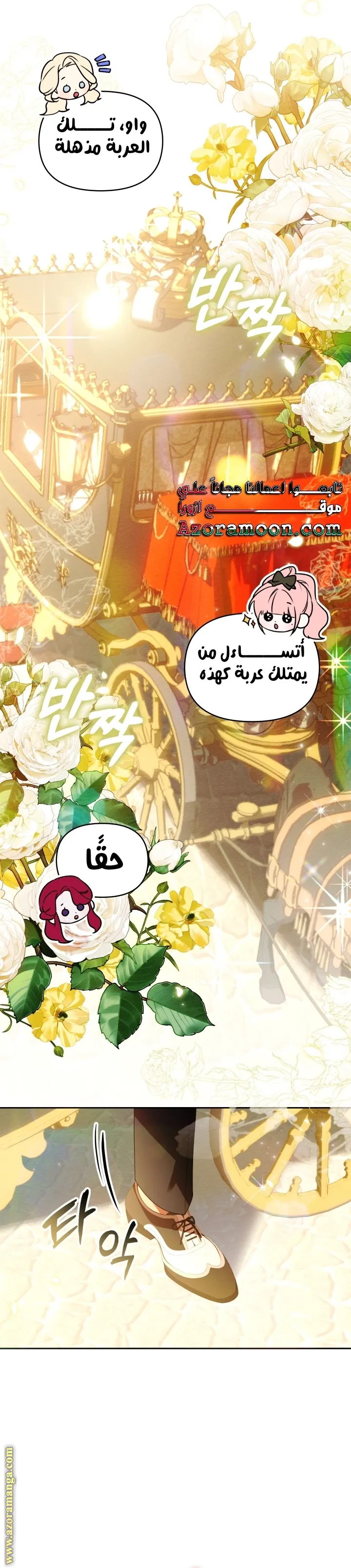 الصفحة 19