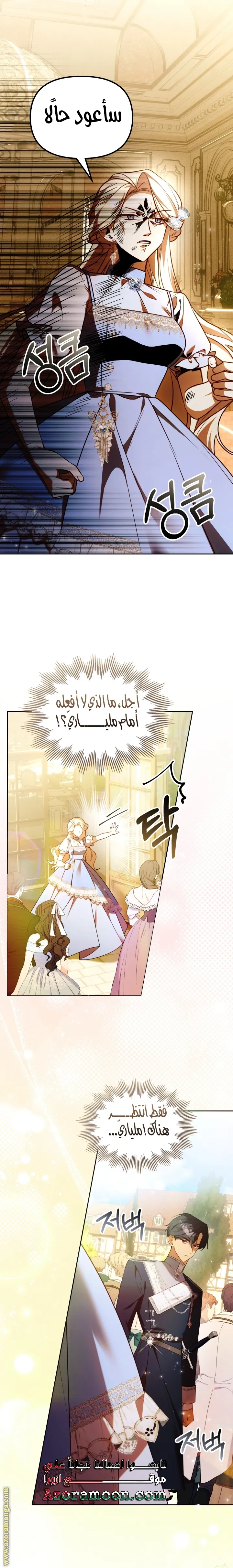 الصفحة 25