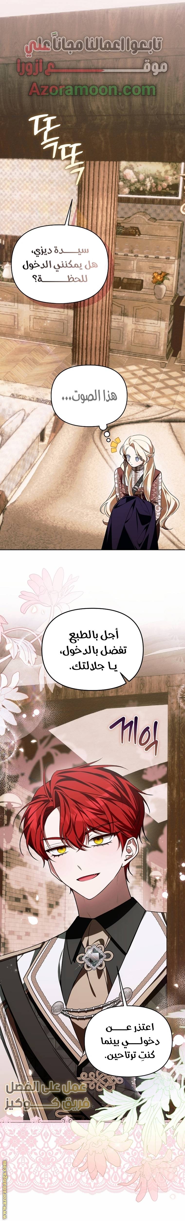 الصفحة 17