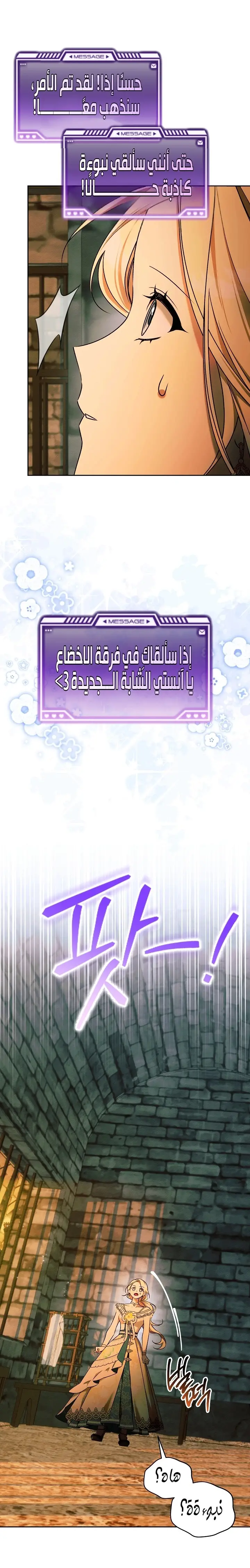 الصفحة 19