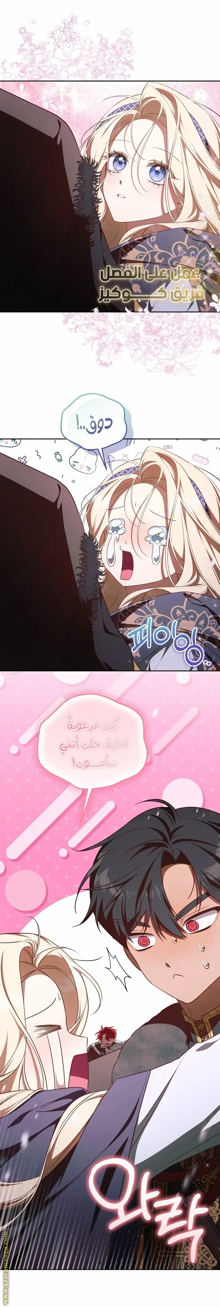 الصفحة 19