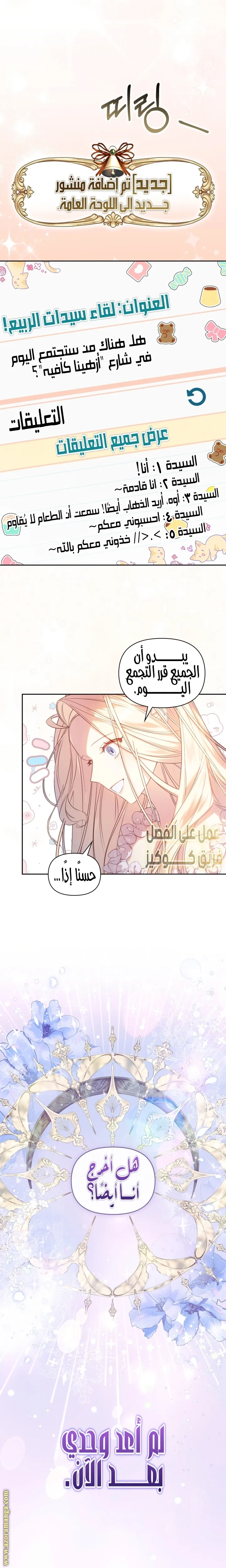الصفحة 3