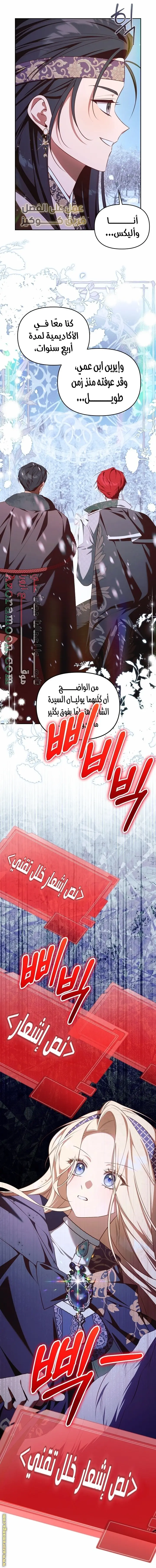 الصفحة 17