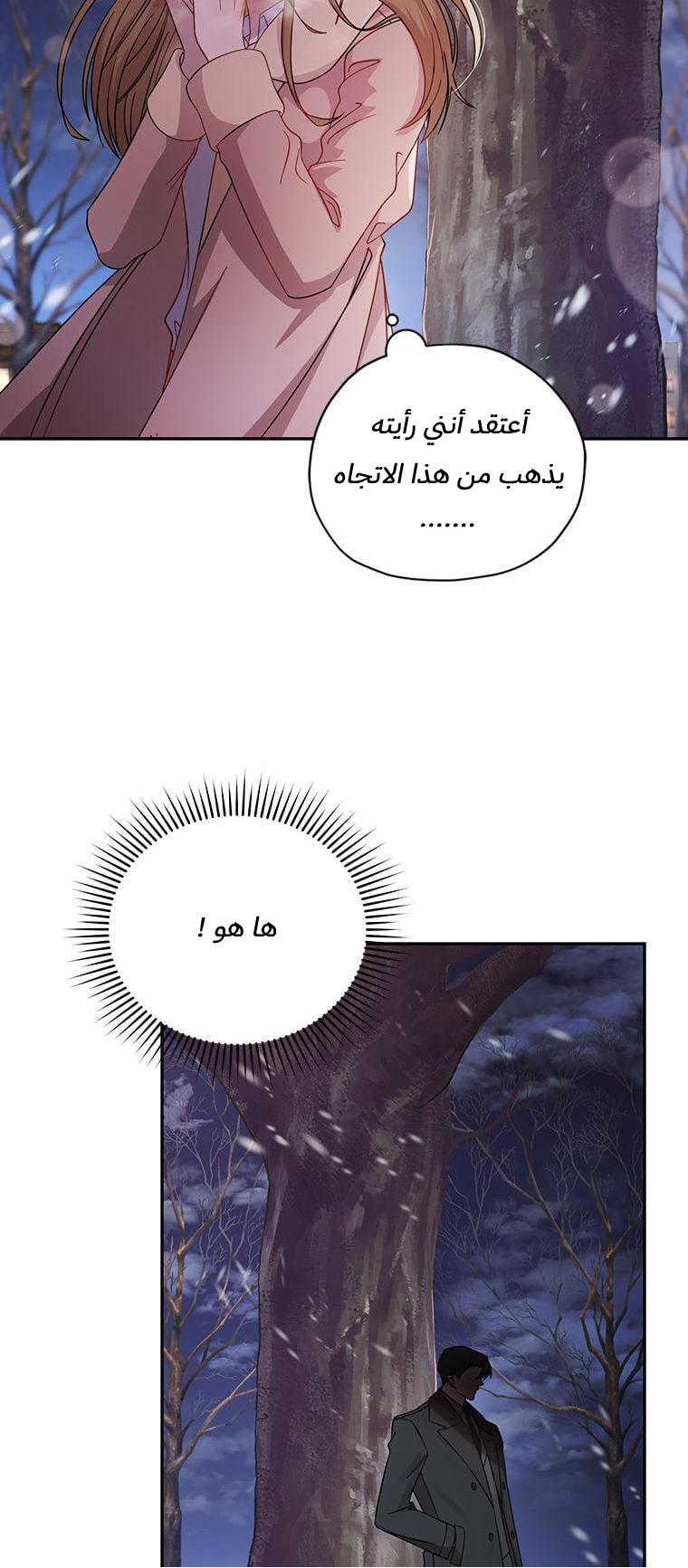 الصفحة 20