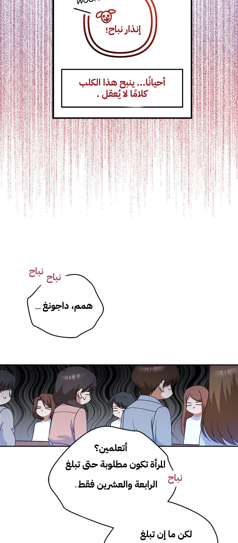 الصفحة 16