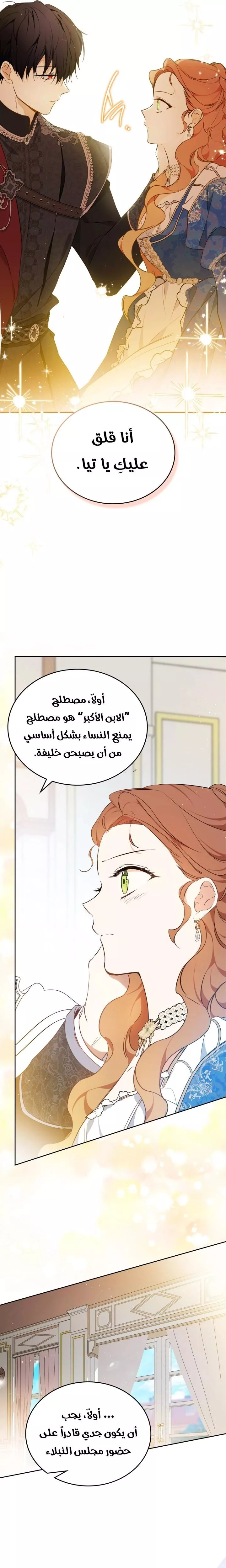 الصفحة 17