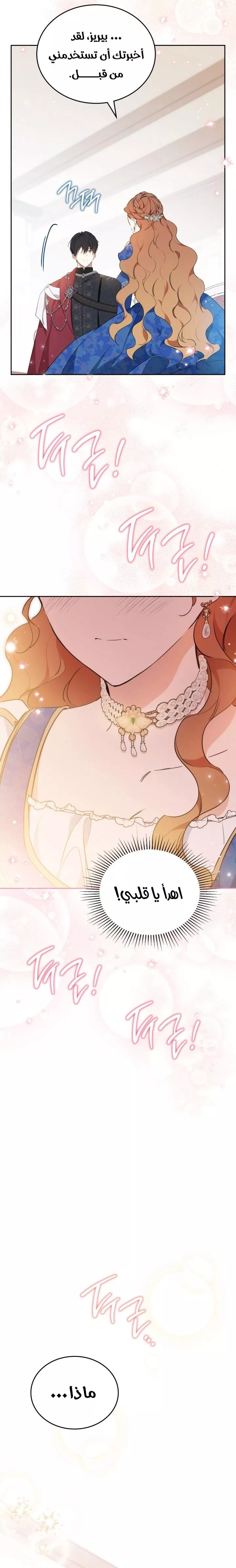 الصفحة 21