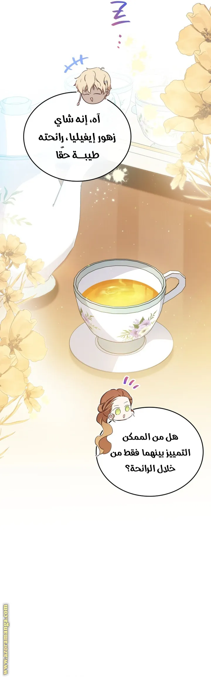 الصفحة 25