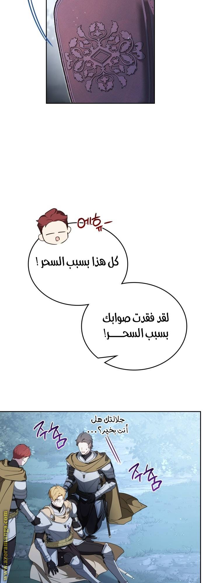 الصفحة 13