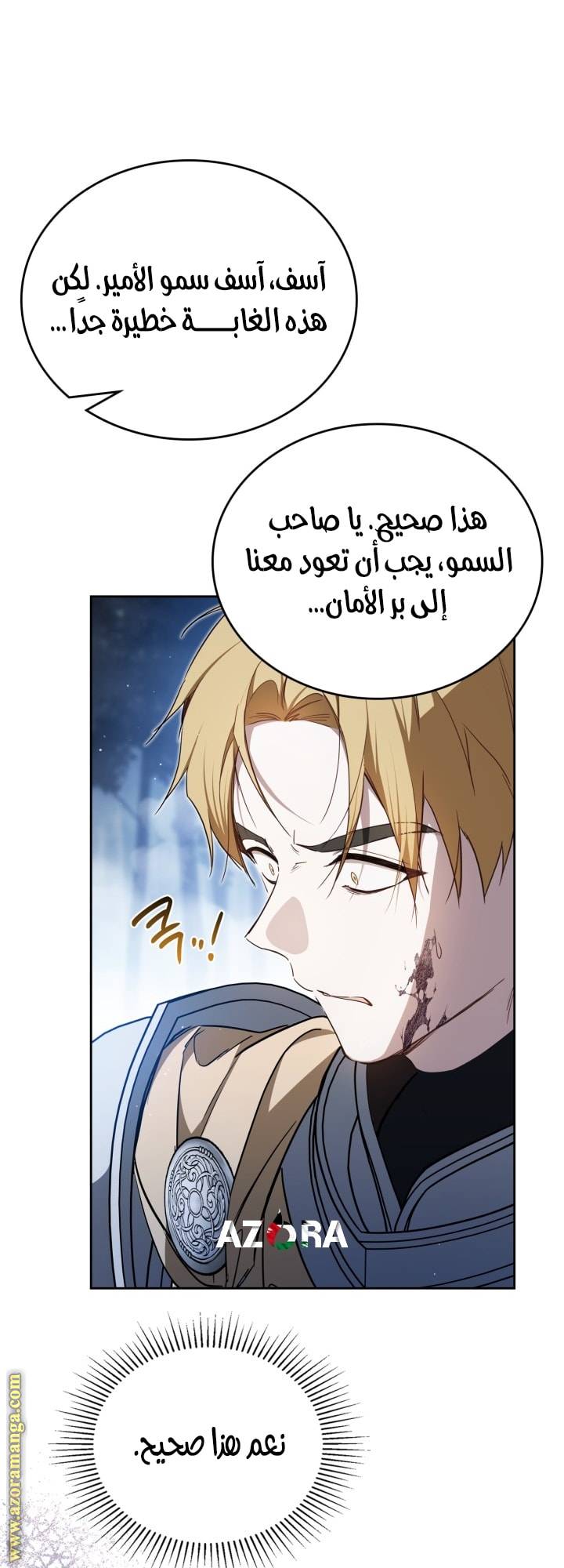 الصفحة 17