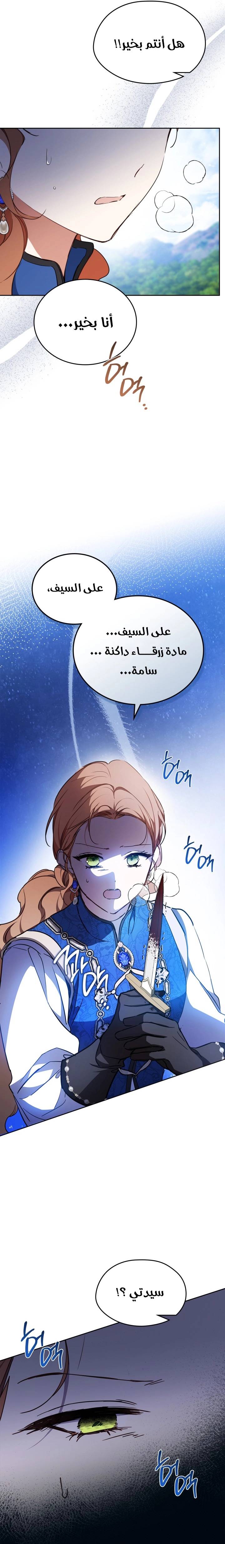 الصفحة 13