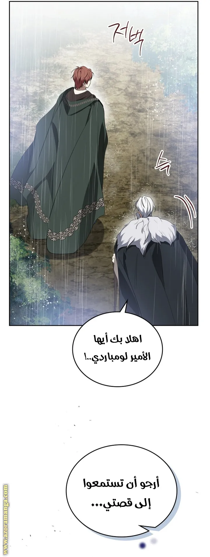 الصفحة 26