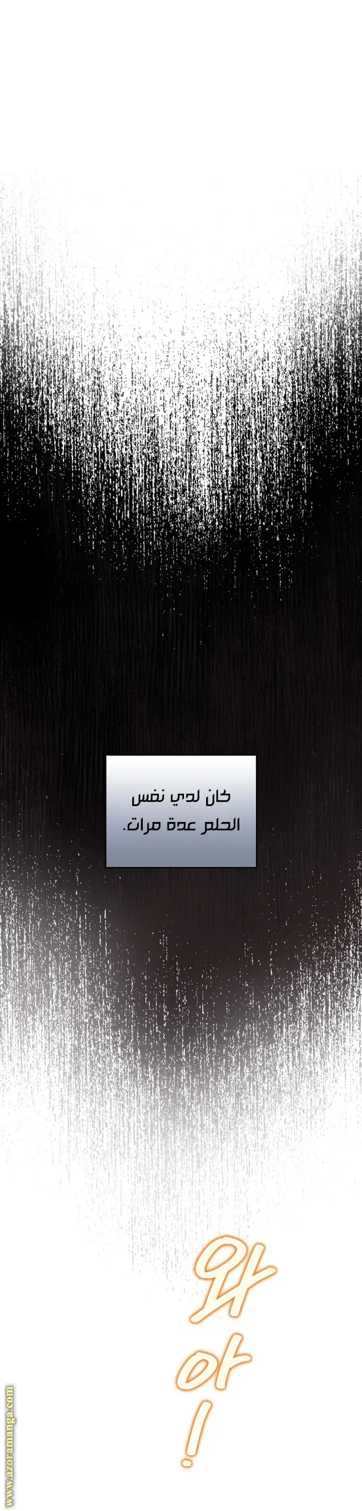 الصفحة 46