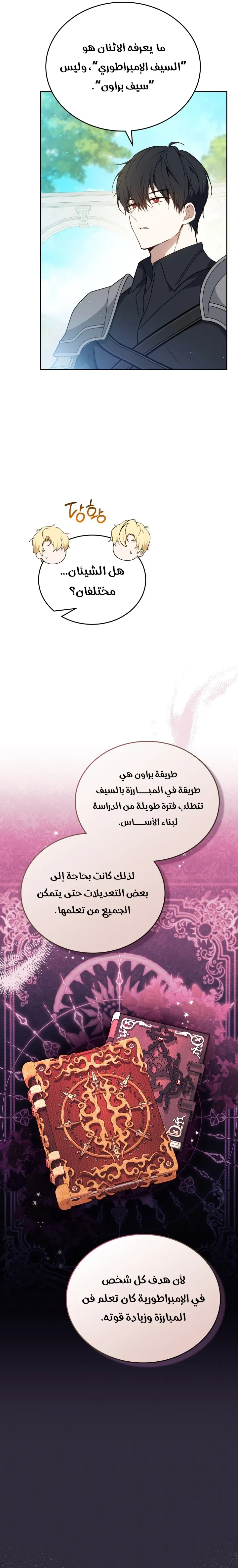 الصفحة 13