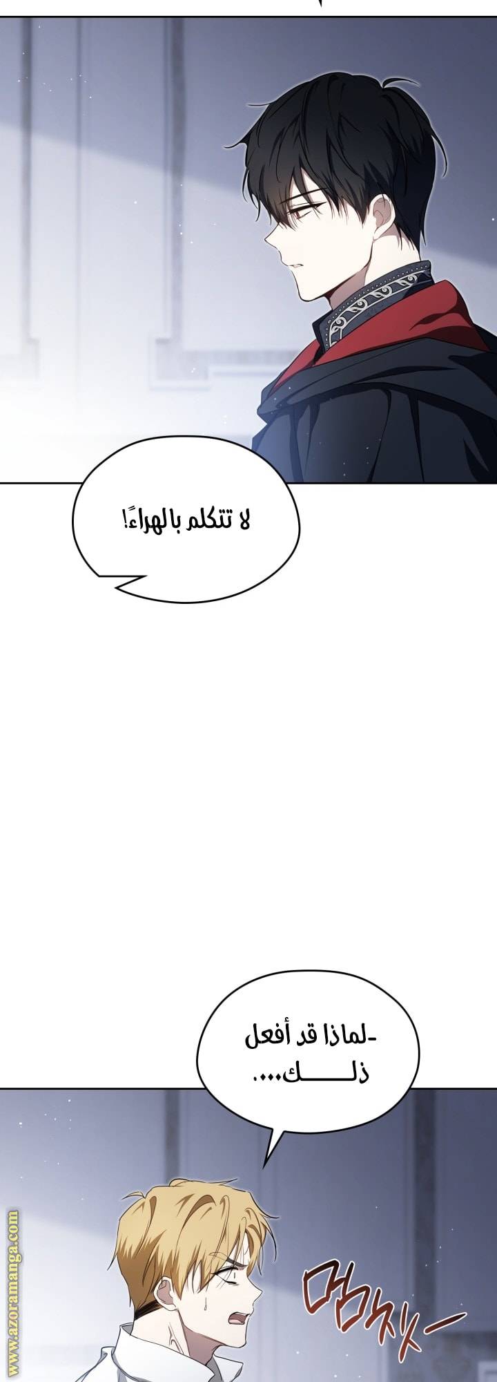 الصفحة 12