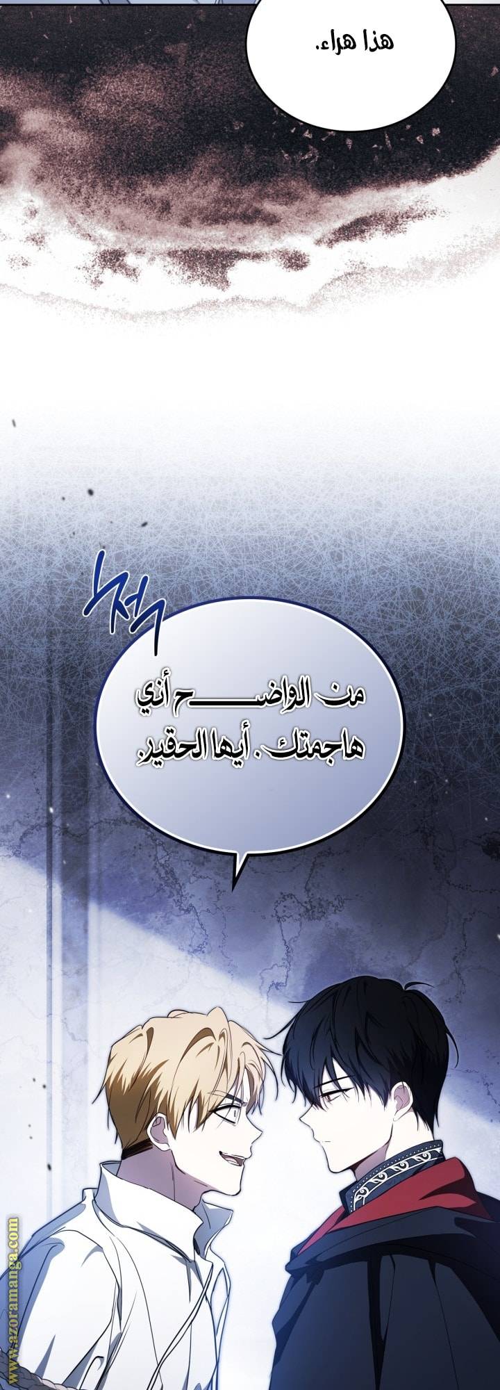 الصفحة 19