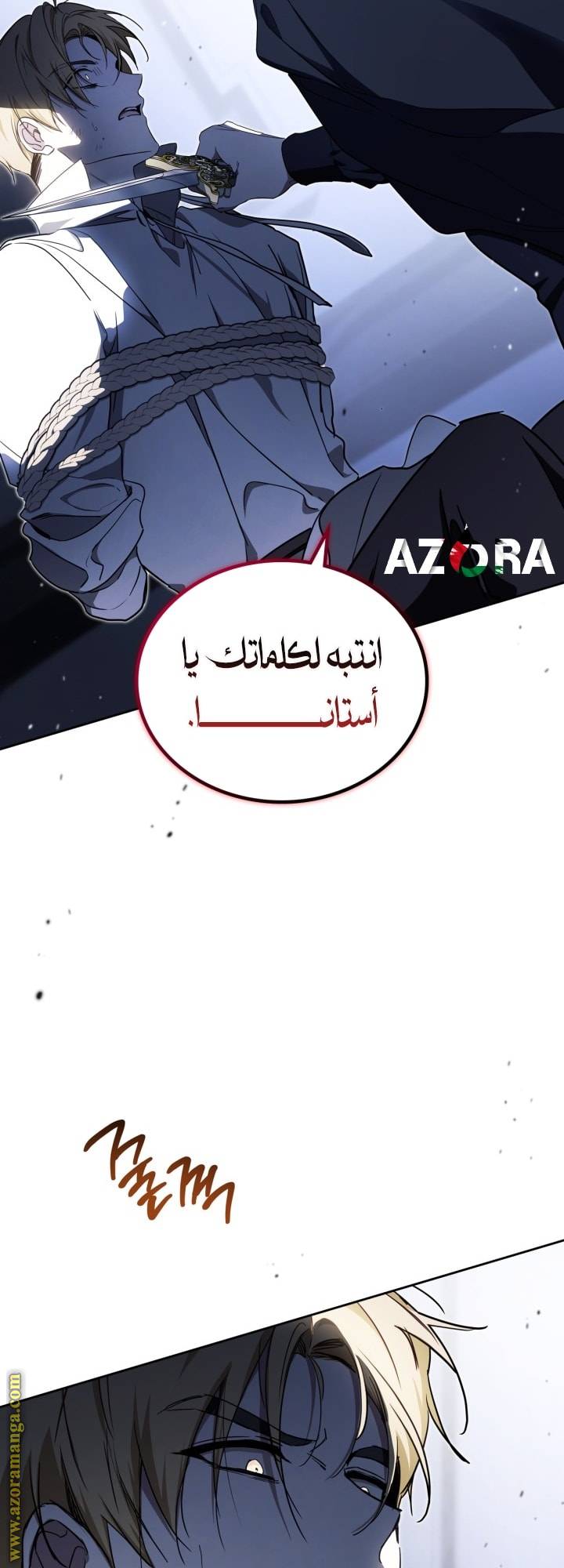 الصفحة 25