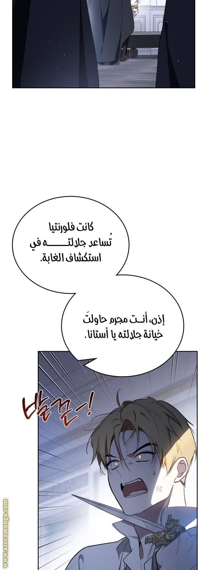 الصفحة 27